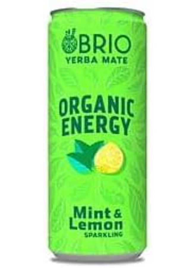 BRIO Yerba Mate, Organic Energy Drink - 160 mg Natural Plant Based Caffeine, Lemon & Mint (250ml x Pack of 12) - Image 2